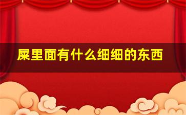 屎里面有什么细细的东西