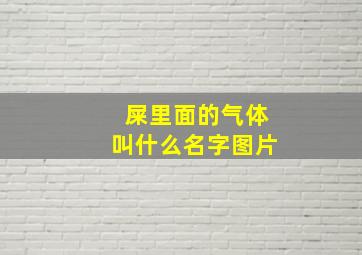 屎里面的气体叫什么名字图片