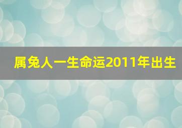 属兔人一生命运2011年出生