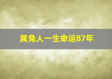 属兔人一生命运87年