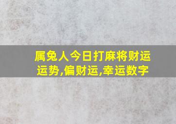 属兔人今日打麻将财运运势,偏财运,幸运数字