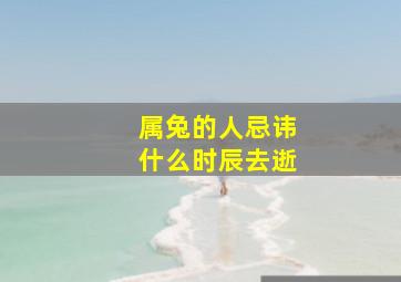 属兔的人忌讳什么时辰去逝