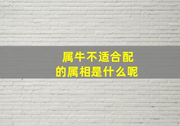 属牛不适合配的属相是什么呢