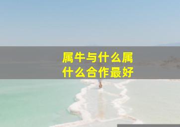 属牛与什么属什么合作最好