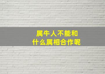 属牛人不能和什么属相合作呢