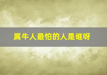 属牛人最怕的人是谁呀