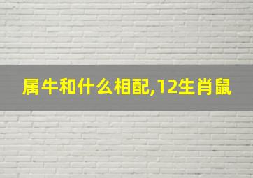 属牛和什么相配,12生肖鼠