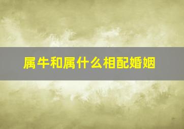 属牛和属什么相配婚姻