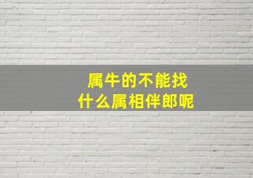 属牛的不能找什么属相伴郎呢