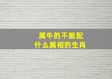 属牛的不能配什么属相的生肖