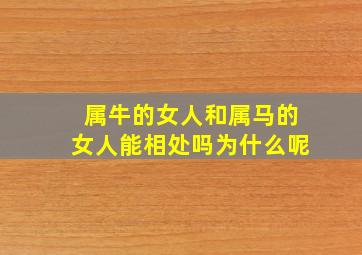 属牛的女人和属马的女人能相处吗为什么呢