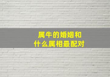 属牛的婚姻和什么属相最配对