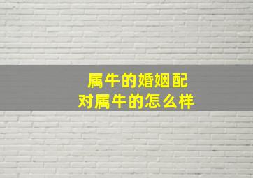 属牛的婚姻配对属牛的怎么样