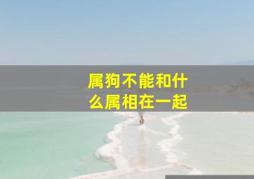 属狗不能和什么属相在一起