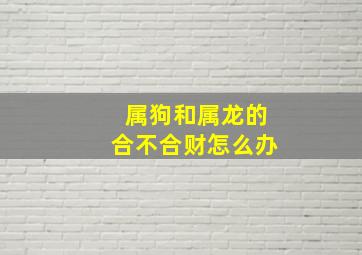 属狗和属龙的合不合财怎么办