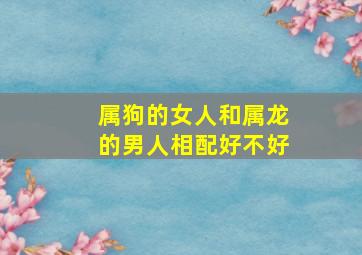 属狗的女人和属龙的男人相配好不好