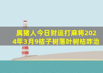 属猪人今日财运打麻将2024年3月9桔子树落叶树枯咋治