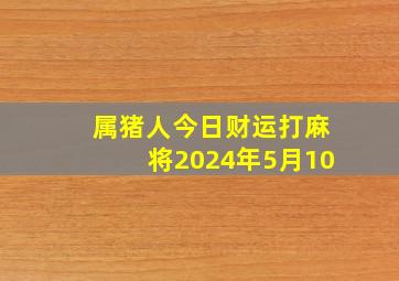 属猪人今日财运打麻将2024年5月10