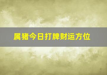 属猪今日打牌财运方位