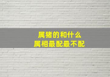 属猪的和什么属相最配最不配