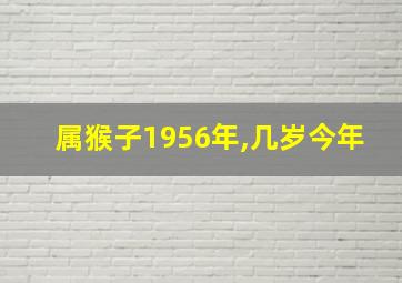 属猴子1956年,几岁今年