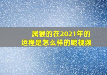 属猴的在2021年的运程是怎么样的呢视频