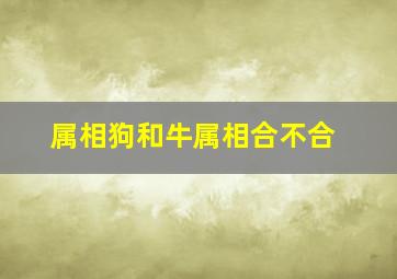 属相狗和牛属相合不合