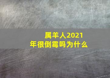 属羊人2021年很倒霉吗为什么