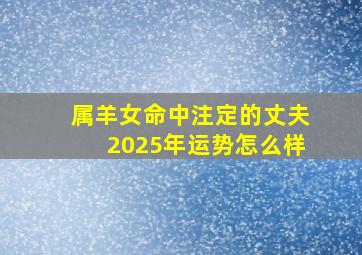 属羊女命中注定的丈夫2025年运势怎么样