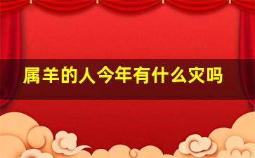 属羊的人今年有什么灾吗