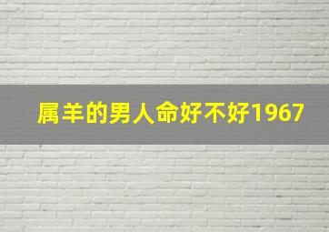 属羊的男人命好不好1967