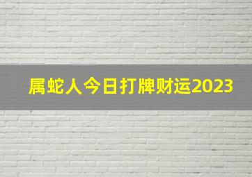 属蛇人今日打牌财运2023