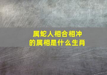 属蛇人相合相冲的属相是什么生肖