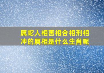 属蛇人相害相合相刑相冲的属相是什么生肖呢