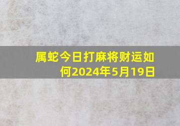 属蛇今日打麻将财运如何2024年5月19日