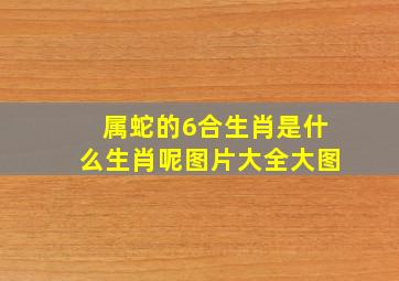 属蛇的6合生肖是什么生肖呢图片大全大图