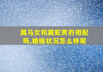 属马女和属蛇男的相配吗,婚姻状况怎么样呢