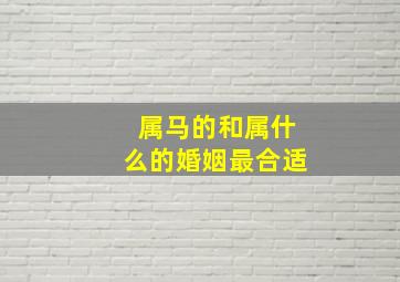 属马的和属什么的婚姻最合适