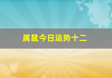 属鼠今日运势十二