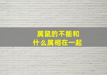 属鼠的不能和什么属相在一起