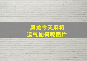 属龙今天麻将运气如何呢图片