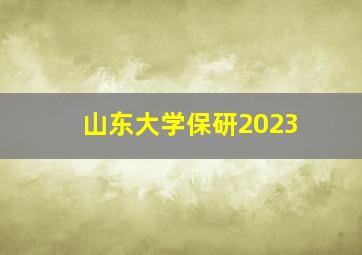 山东大学保研2023