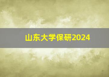 山东大学保研2024