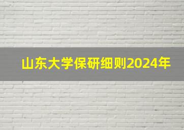 山东大学保研细则2024年