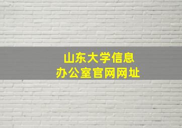 山东大学信息办公室官网网址