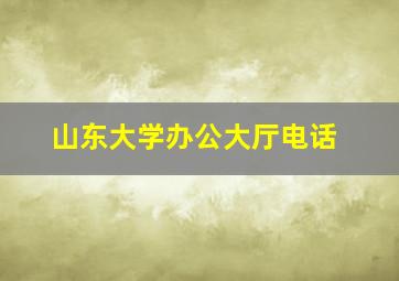 山东大学办公大厅电话