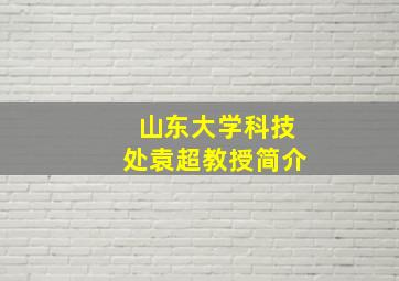 山东大学科技处袁超教授简介