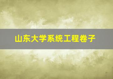 山东大学系统工程卷子