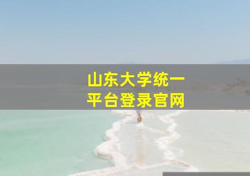 山东大学统一平台登录官网