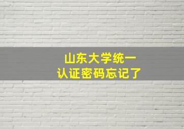 山东大学统一认证密码忘记了